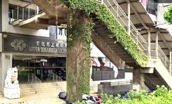 Upper Serangoon Shopping Centre (D19), Shop House #559562741